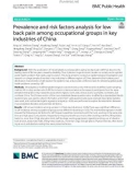 Prevalence and risk factors analysis for low back pain among occupational groups in key industries of China