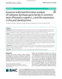 Genome-wide bioinformatics analysis of Cellulose Synthase gene family in common bean (Phaseolus vulgaris L.) and the expression in the pod development