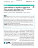 Construction and comprehensive analysis of the competing endogenous RNA network in endometrial adenocarcinoma