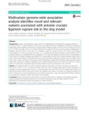 Multivariate genome-wide association analysis identifies novel and relevant variants associated with anterior cruciate ligament rupture risk in the dog model