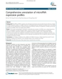 Comprehensive annotation of microRNA expression profiles