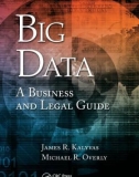 Ebook Big data - A business and legal guide: Part 1