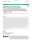 Integrated single-cell and bulk RNA sequencing analysis identifies a cancer-associated fibroblast-related gene signature for predicting survival and therapy in gastric cancer