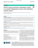 PCDH17 gene promoter methylation status in a cohort of Egyptian women with epithelial ovarian cancer