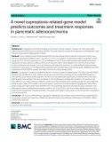 A novel cuproptosis-related gene model predicts outcomes and treatment responses in pancreatic adenocarcinoma