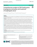 Comprehensive analysis of ZNF family genes in prognosis, immunity, and treatment of esophageal cancer