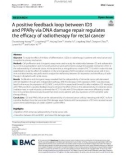 A positive feedback loop between ID3 and PPARγ via DNA damage repair regulates the efficacy of radiotherapy for rectal cancer