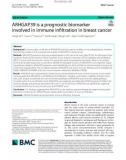 ARHGAP39 is a prognostic biomarker involved in immune infiltration in breast cancer