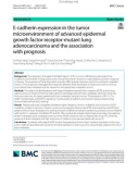 E-cadherin expression in the tumor microenvironment of advanced epidermal growth factor receptor-mutant lung adenocarcinoma and the association with prognosis