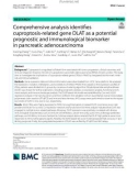 Comprehensive analysis identifies cuproptosis-related gene DLAT as a potential prognostic and immunological biomarker in pancreatic adenocarcinoma