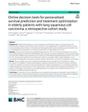 Online decision tools for personalized survival prediction and treatment optimization in elderly patients with lung squamous cell carcinoma: A retrospective cohort study