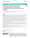 MRI-based automatic identifcation and segmentation of extrahepatic cholangiocarcinoma using deep learning network