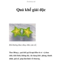 Quả khế giải độc