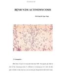 BỆNH NẤM ACTINOMYCOSIS