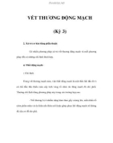 VẾT THƯƠNG ĐỘNG MẠCH (Kỳ 3)