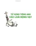 Từ vựng Tiếng Anh qua các con vật