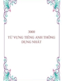 3000 từ Tiếng Anh thông dụng nhất