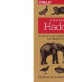 Ebook Field guide to hadoop