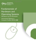 Ebook Fundamentals of hardware and operating systems - Part 1