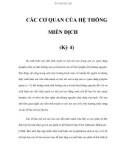 CÁC CƠ QUAN CỦA HỆ THỐNG MIỄN DỊCH (Kỳ 4)