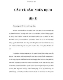 CÁC TẾ BÀO MIỄN DỊCH (Kỳ 3)