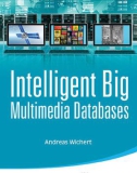 Ebook Intelligent big multimedia databases