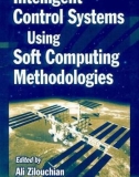 Ebook Intelligent control systems using soft computing methodologies