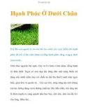 Hạnh Phúc Ở Dưới Chân Đôi