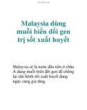 Malaysia dùng muỗi biến đổi gen trị sốt xuất huyết