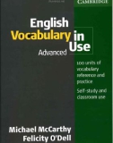 English Vocabulary In Use_advanced