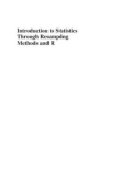 Ebook Introduction to statistics through resampling methods and R (Second edition): Part 1