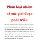 Phân loại nhóm và các giai đoạn phát triển