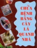 Chữa bệnh bằng cây lá quanh nhà (Phần 1)