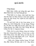 Chữa bệnh bằng cây lá quanh nhà (Phần 11)