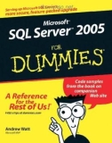 Ebook Microsoft SQL server for dummies