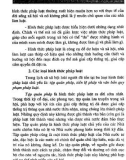 Pháp Luật Đại Cương part 13