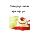 Những loại vỏ chữa bệnh hiệu quả