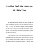 Lựa Chọn Thuốc Vận Mạch trong Sốc Nhiễm Trùng