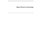 Ebook Open source licensing: Software freedom and intellectual property law - Part 1