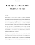 K NỘI MẠC TỬ CUNG SAU PHẪU THUẬT CẮT NỘI MẠC