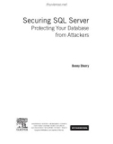 Ebook Securing SQL server (3rd edition)