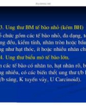 Giải phẫu bênh - Ung thư phổi và ung thư thận part 3