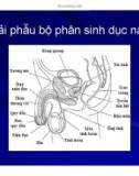 Bài giảng bệnh lậu part 2