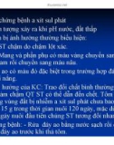 Bệnh học thủy sản : Bệnh do môi trường part 4