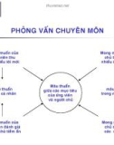 Phỏng vấn chuyên môn