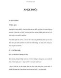 APXE PHỔI