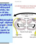 Bài giảng thần kinh thính giác part 4