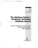 Ebook The Database hacker's handbook: Defending database servers – Part 1