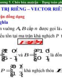 Bài giảng Toán cao cấp 1 - Chương 5: Chéo hóa matrận – Dạng toàn phương