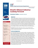 Brazil's Ethanol Industry: Looking Forward